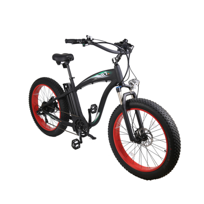cross country electric bike