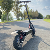 CF-D10-2B Factory supply 48V 15.6AH 20.8AH 1600W 2000W dual motor electric scooter foldable fat tire adult e scooter with lithium battery
