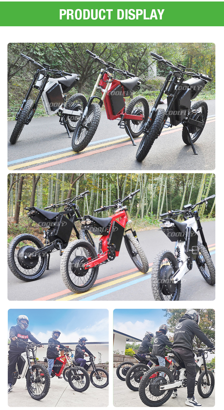 electric bike cheetah