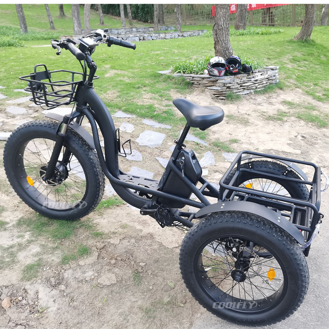 TRAVELLER24 Novo Produto Venda Quente Adulto 48V 24AH 1000W Triciclo Bicicleta El&eacute;trica de 3 Rodas Ciclo de Tr&ecirc;s Rodas